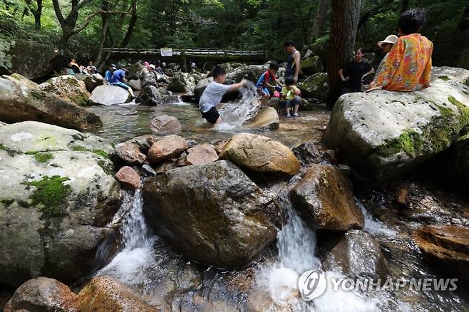 광주 무등산 원효계곡. /연합뉴스