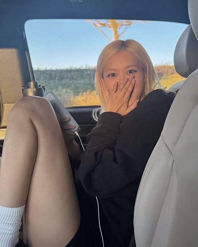 인스타그램 @roses_are_rosie