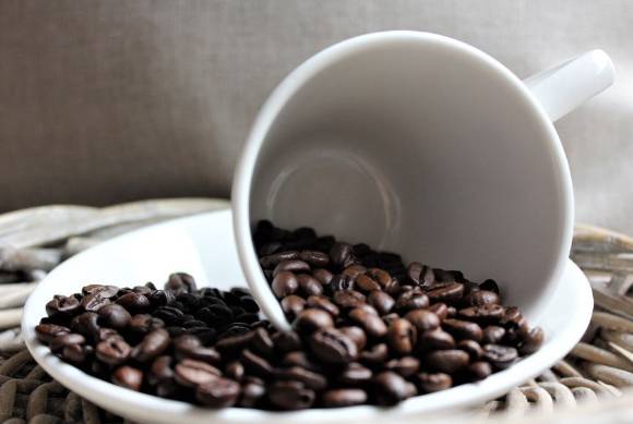 커피 원두  [사진=픽사베이@Mondgesicht]