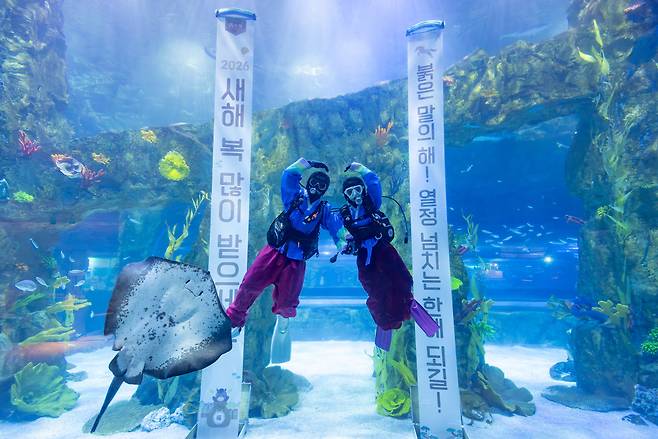 롯데월드 아쿠아리움 수중 세배