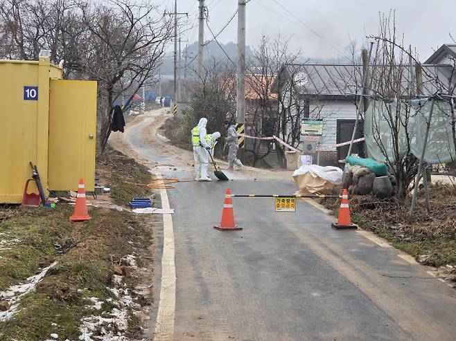 '민족 대명절' 설을 1주일여 앞둔 11일 전남 나주시 봉황면 A 돼지농장. 하얀 방역복을 입은 작업자들이 작업에 몰두하고 있었다. /임지섭 기자 ljs@namdonews.com