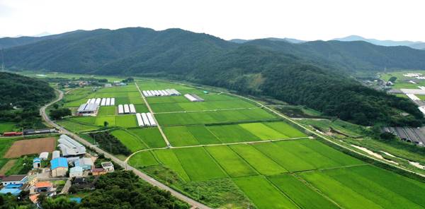 고성군이 친환경 벼를 비롯해 38개 품목의 친환경 농산물을 육성하고 있다. 사진은 고성군 영현면 뜰 전경. / 고성군