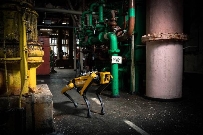 현대자동차그룹 로봇 전문 계열사 보스턴다이나믹스의 4족 보행 로봇 스팟(Spot)이 셀라필드(Sellafield Ltd) 현장을 순찰하는 모습 (사진=셀라필드)