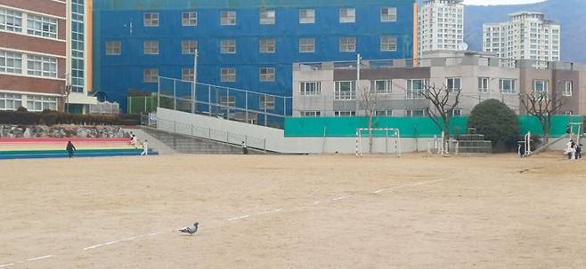 지난 10일 점심 시간대 부산의 한 초등학교 운동장이 썰렁하다. 백창훈 기자