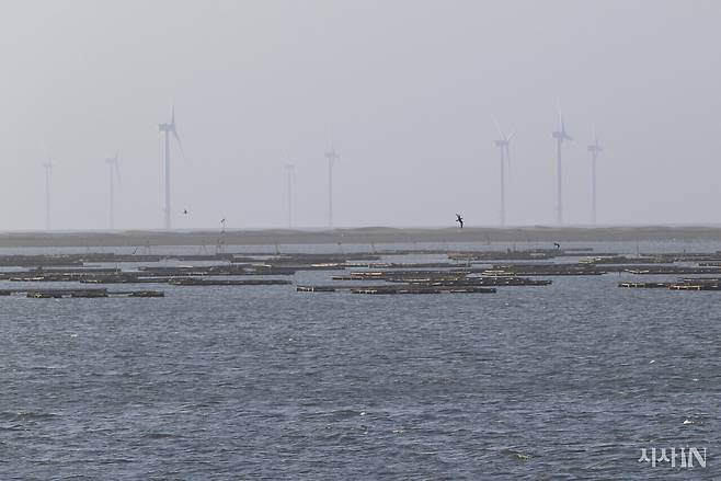 1월14일 타이완 윈린현 타이쯔 마을에서 바라본 ‘윈린 해상풍력 발전 단지’ 풍경. ⓒ시사IN 이명익