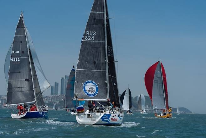 수영만 요트 풍경 [김울프 작가 제공]