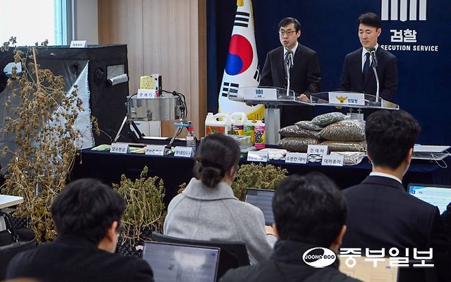마약범죄 정부합동수사본부가 상가, 빌라 등 주거밀집지역에 전문 대마 재배시설을 갖추고 대량의 대마를 재배해 유통한 일당을 적발해 재판에 넘긴 가운데 신준호 합수본 제1부본부장이 12일 오전 수원시 영통구 수원지방검찰청에서 기자회견을 열고 대마재배 사범 4명을 구속기소했다고 밝히고 있다. 임채운기자