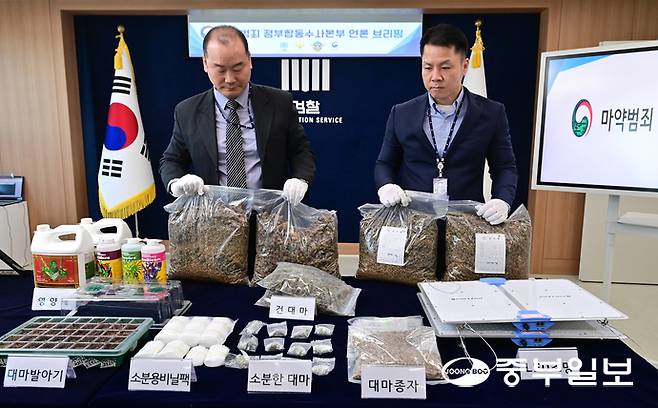 마약범죄 정부합동수사본부가 상가, 빌라 등 주거밀집지역에 전문 대마 재배시설을 갖추고 대량의 대마를 재배해 유통한 일당을 적발해 재판에 넘긴 가운데 12일 오전 수원시 영통구 수원지방검찰청에서 합수본 관계자들이 증거품을 들어보이고 있다. 임채운기자