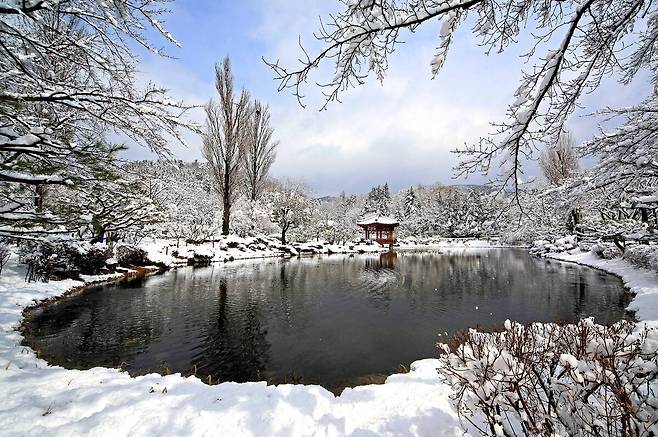 보문정이 설경 속에서 경주의 대표 자연 경관으로 아름다움을 더하고 있다. /경주시 제공