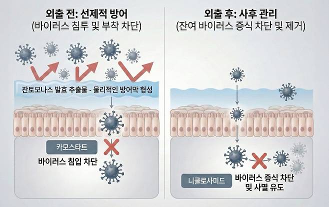 외출 전 '방어막' 형성, 외출 후엔 잔여 바이러스 '증식 억제'... 코 점막 지키는 2단계 관리법｜출처: 하이닥