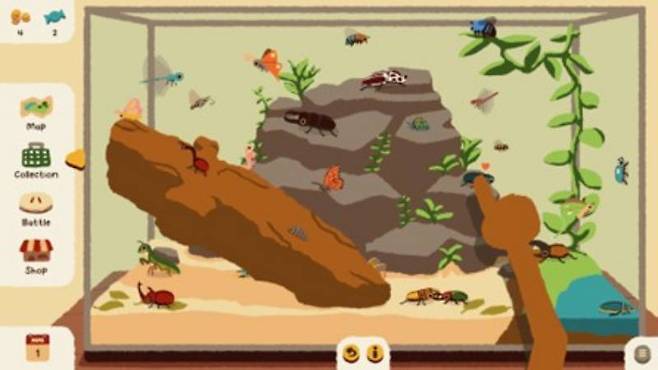 다양한 곤충을 감상할 수 있는 테라리움