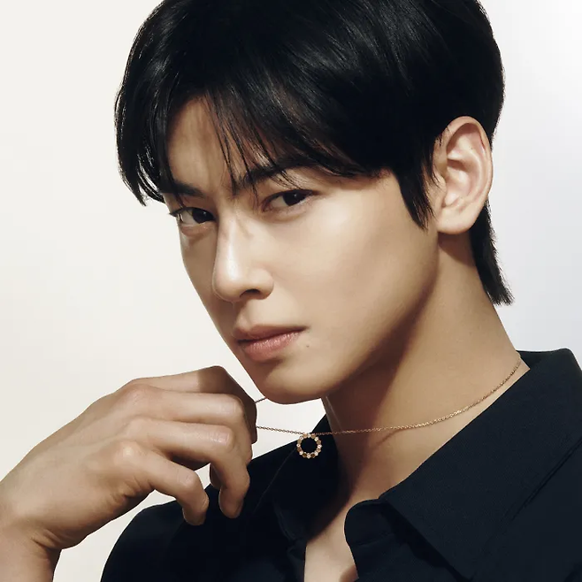 약 200억원 규모의 탈세 의혹을 받는 배우 겸 가수 차은우. 경향신문 자료사진