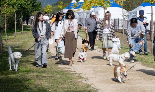 반려동물과 산책 중인 부산 시민들.