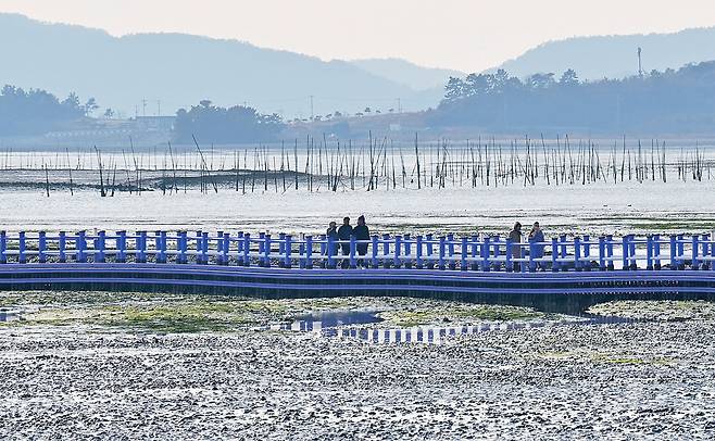 퍼플섬을 찾은 관광객들이 안좌도에서 갯벌 위에 놓은 보라색 보행교를 걸어 반월도까지 걸어가는 모습.