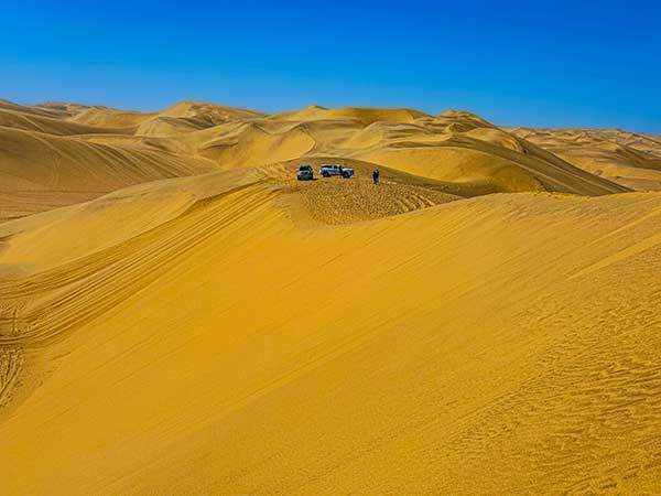 현실감이 사라질 만큼 거대한 사구 위에서 4륜구동 지프를 타고 모래 능선을 질주하는 샌드위치 하버 지프 투어의 한 장면.