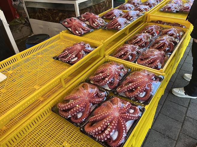 판매대에 놓인 문어 [촬영 황수빈]