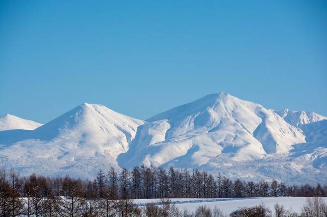 홋카이도문화방송에 따르면 지난달 30일에는 삿포로시의 테이네산에서 스노보드를 타던 한국 국적 남성 7명이 길을 잃고 조난됐다. 홋카이도 설산 전경. 기사의 설명을 돕기 위한 자료. 게티이미지