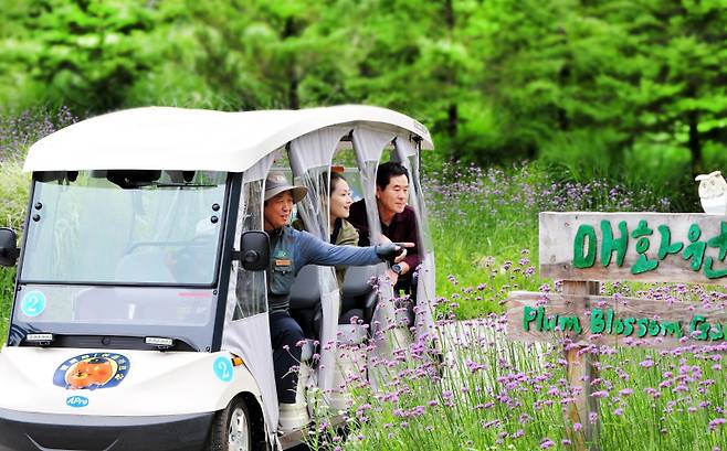 백두대간수목원 관람 모습. 연합뉴스