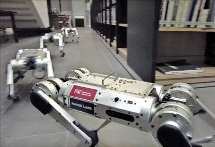 4족 보행로봇 미니치타. 네이버랩스 제공