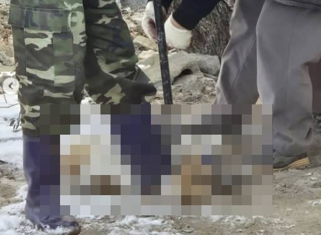 전북 익산의 한 공공기관에서 반려견 3마리를 입양한 뒤 도살한 혐의를 받는 70대 남성이 경찰 수사를 받고 있다. 사진은 이 남성 등이 반려견을 발로 밟아 끌고 가는 모습. [동물보호단체 위액트]