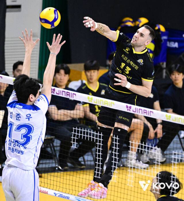 KB손해보험 비예나/KOVO