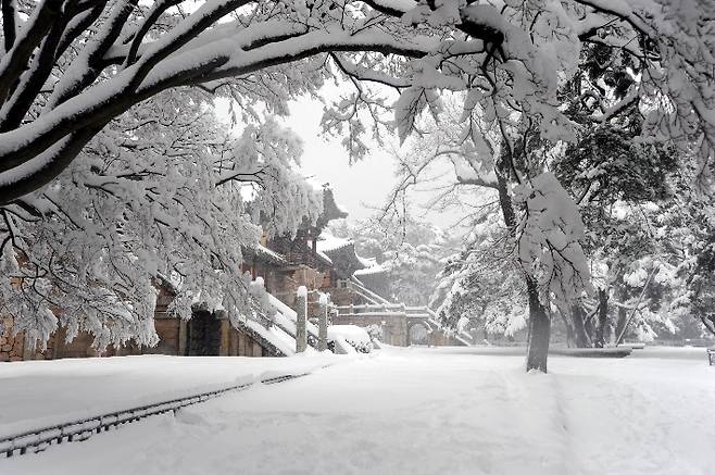 불국사. 경주시 제공