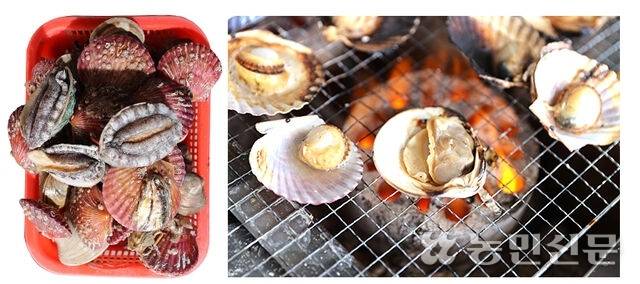 경기 안산시 단원구의 ‘동환네 조개구이’에선 여러가지 조개를 맛볼 수 있다. 연탄불에 익어가는 홍가리비가 먹음직스럽다. 안산＝김원철 프리랜서 기자