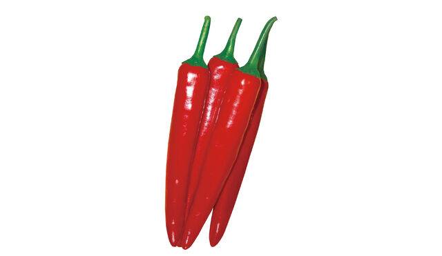 오스템바이오 ‘순한맛테라칼탄고추’