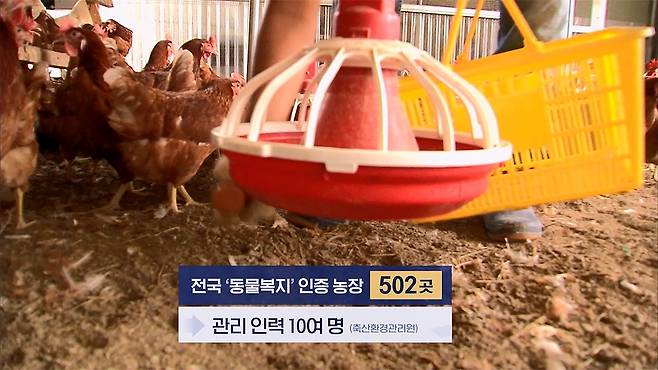 2026.2.11 MBC 뉴스데스크