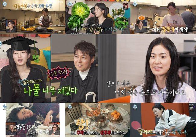 연예계 이슈 - 도박나라