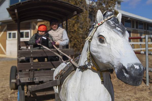 화성 궁평캠프/ 경기관광공사 제공