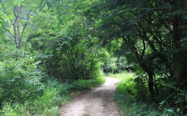 장수 방화동 생태길. 전북도 제공