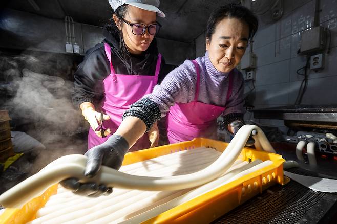 ‘종로떡집’ 사장 김화진(오른쪽)씨가 가래떡을 뽑아내고 있다. 김씨는 “단체 주문이 들어와 새벽 4시부터 가래떡을 뽑기 시작했다”고 했다. 조유미 기자가 옆에서 가래떡을 가위로 자르기 위해 기다리고 있다. /이건송 영상미디어 기자