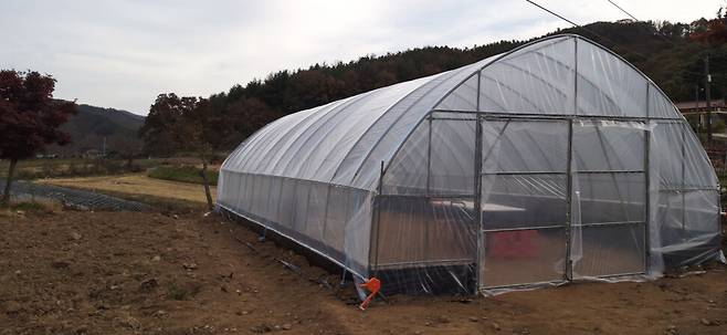 농막생활 2년 차에 비닐하우스를 직접 지었다. 농촌에서 비닐하우스는 꼭 필요한 시설이다.