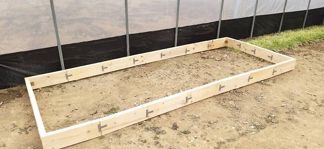 비닐하우스에 판자를 이어붙여 쿠바식 틀밭을 만들었다. 토마토, 상추 등을 심는 용도이다.