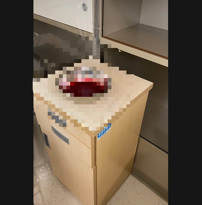 [차주영 인스타그램 캡처]