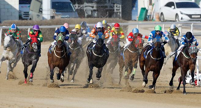 15일 경기 과천 렛츠런파크 서울에서 열린 ‘제24회 세계일보배 대상경주’에 출전한 경주마들이 결승선을 향해 역동적인 레이스를 펼치고 있다. 과천=유희태 기자