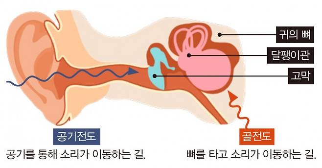 공기전도와 골전도. 게티이미지뱅크 제공