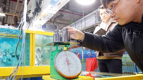 인천 남동구 소래포구 종합어시장에서 남동구청 합동점검반이 접시 형태 저울을 점검하고 있다. 연합뉴스