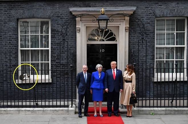 2019년 6월 4일 당시 영국 총리였던 테리사 메이가 다우닝가 10번지 밖에서 도널드 트럼프 대통령 부부를 맞이하고 있다. 그 옆으로 고양이 래리가 보인다. AP 연합뉴스 자료사진