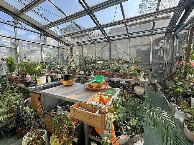 대전에 2013년 최초로 생긴 '화분병원' [촬영 강수환]