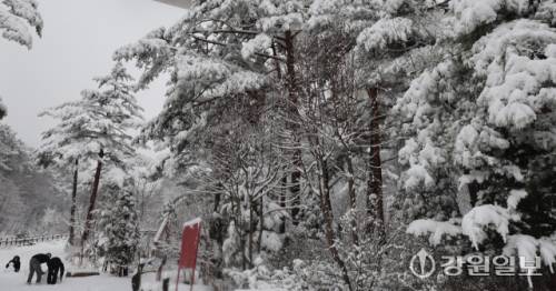 메마른 동해안 지역에 10cm 안팎의 많은 눈이 내린 지난 16일 강릉시 성산면 옛영동고속도로 주변에 설경이 펼쳐져 귀성객들이 추억을 남기고 있다. 대설특보가 발효된 동해안과 산지에 시간당 1~3㎝, 최대 10㎝의 눈이 내려 대부분 지역에 내려진 건조특보가 53일만에 해제됐다 강릉=권태명기자
