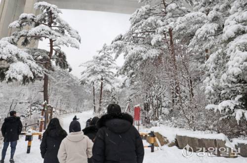 메마른 동해안 지역에 10cm 안팎의 많은 눈이 내린 지난 16일 강릉시 성산면 옛영동고속도로 주변에 설경이 펼쳐져 귀성객들이 추억을 남기고 있다. 대설특보가 발효된 동해안과 산지에 시간당 1~3㎝, 최대 10㎝의 눈이 내려 대부분 지역에 내려진 건조특보가 53일만에 해제됐다 강릉=권태명기자