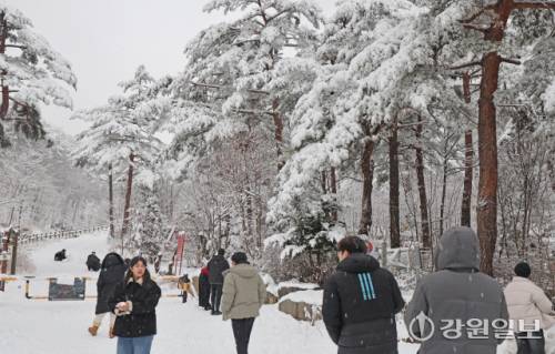 메마른 동해안 지역에 10cm 안팎의 많은 눈이 내린 지난 16일 강릉시 성산면 옛영동고속도로 주변에 설경이 펼쳐져 귀성객들이 추억을 남기고 있다. 대설특보가 발효된 동해안과 산지에 시간당 1~3㎝, 최대 10㎝의 눈이 내려 대부분 지역에 내려진 건조특보가 53일만에 해제됐다 강릉=권태명기자