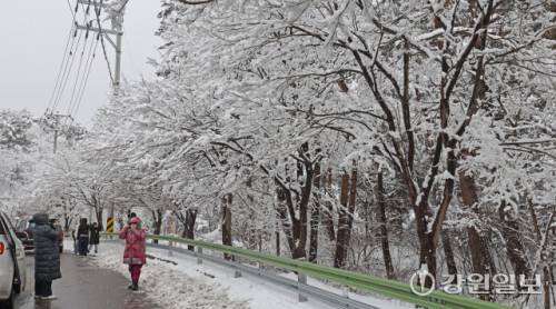 메마른 동해안 지역에 10cm 안팎의 많은 눈이 내린 지난 16일 강릉시 성산면 옛영동고속도로 주변에 설경이 펼쳐져 귀성객들이 추억을 남기고 있다. 대설특보가 발효된 동해안과 산지에 시간당 1~3㎝, 최대 10㎝의 눈이 내려 대부분 지역에 내려진 건조특보가 53일만에 해제됐다 강릉=권태명기자