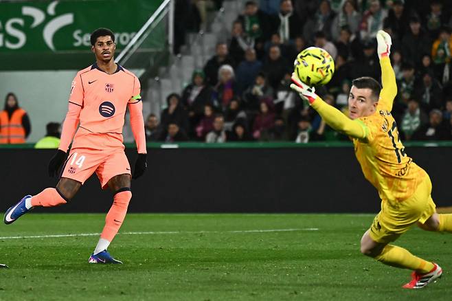 AFP<저작권자(c) 연합뉴스, 무단 전재-재배포, AI 학습 및 활용 금지>