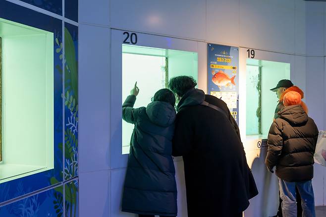 People look out the window to catch sight of fishes and other sea creatures at the National Ocean Science Museum’s underwater observatory in Jukbyeon-myeon, Uljin. [GNC 21]