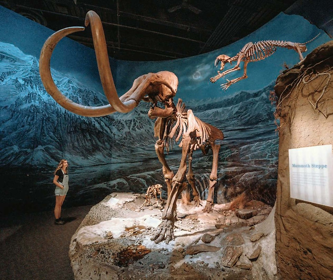 로얄 티렐 박물관/사진=알버타관광청