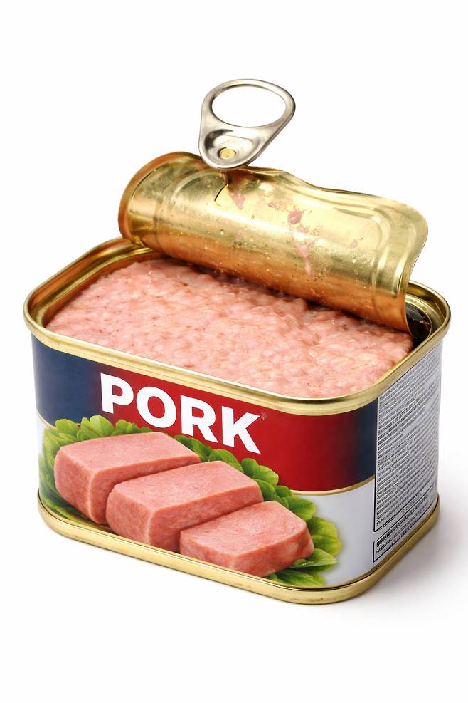 [AI 생성 이미지]