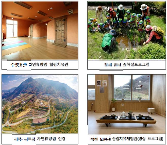 자연휴양림 모습. 기사와 직접적인 연관 없음. 경북도 제공